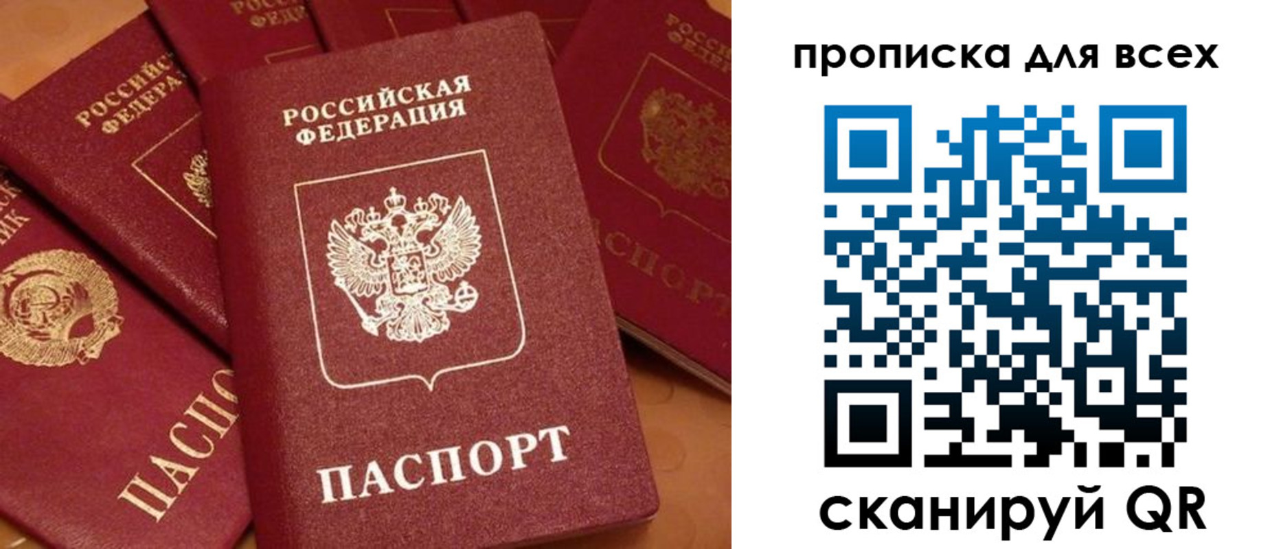 временная регистрация поиск в Светогорске