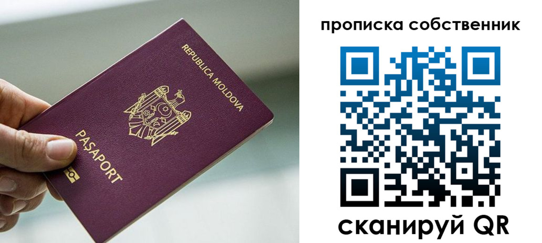 прописка паспорт в Светогорске